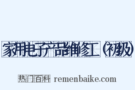 家用电子产品维修工（初级）是什么意思的图片
